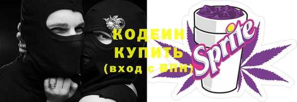 дурь Арсеньев