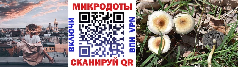 Псилоцибиновые грибы мухоморы  Боровичи 